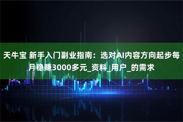 天牛宝 新手入门副业指南：选对AI内容方向起步每月稳赚3000多元_资料_用户_的需求