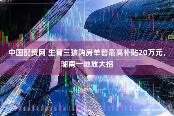 中国配资网 生育三孩购房单套最高补贴20万元，湖南一地放大招